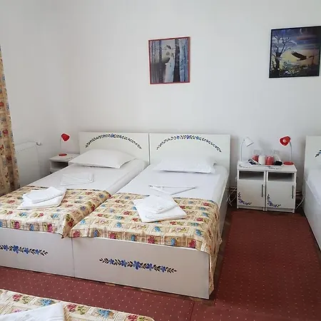 Pensiunea Geostar 2 Curtea de Argeş