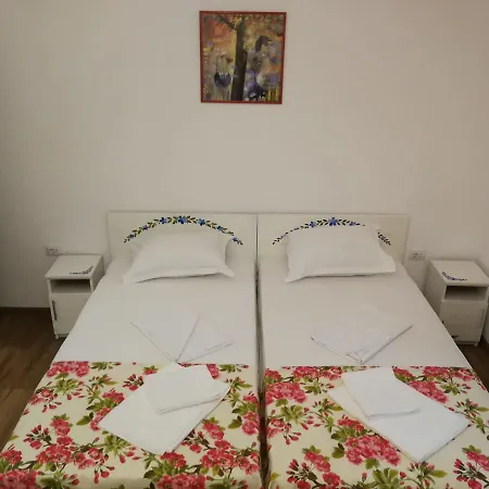 Casa de hóspedes Pensiunea Geostar 2 Curtea de Argeş