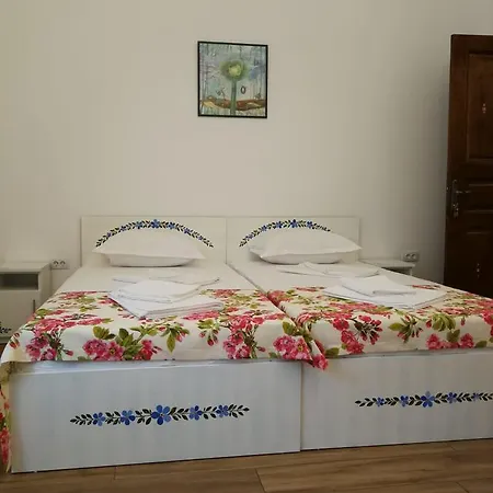Casa de hóspedes Pensiunea Geostar 2 Curtea de Argeş